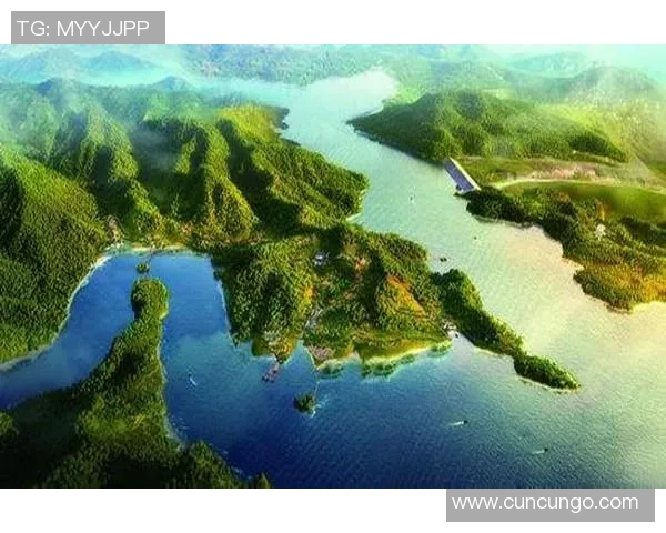 武汉极限运动队意识对比深度解析与发展趋势探讨